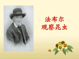 《法布尔观察昆虫》教学课件 (2)