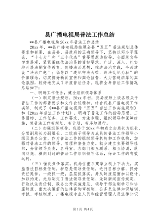 县广播电视局普法工作总结 