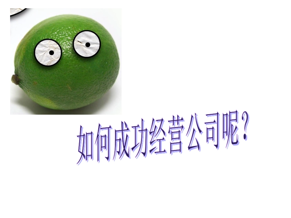 公司成功经营的因素_第3页