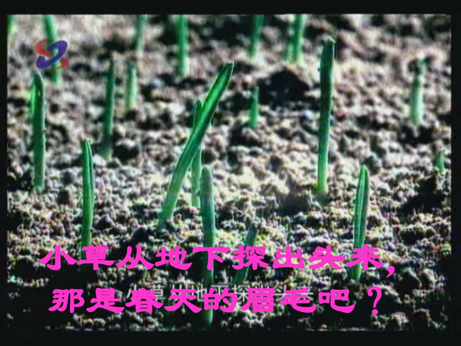 人教版小学二年级语文下册《找春天》课件_第3页