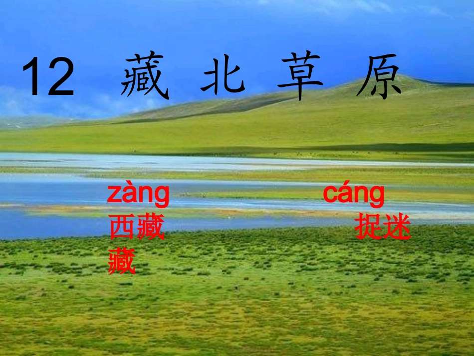 藏北草原的 课件_第1页