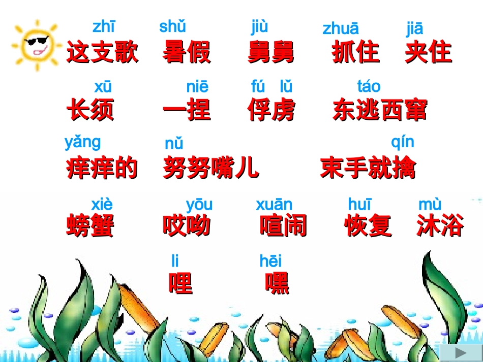 赶海课件课件_第3页