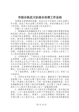 市综合执法大队综合治理工作总结 