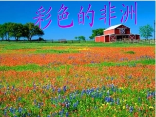 彩色的非洲_