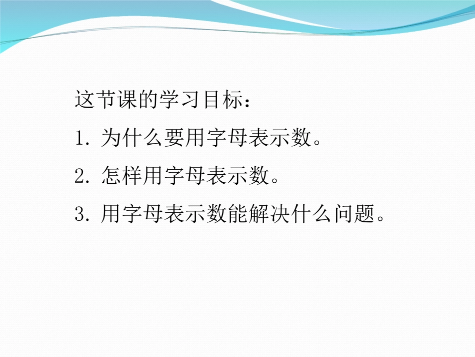 字母表示数新_第2页