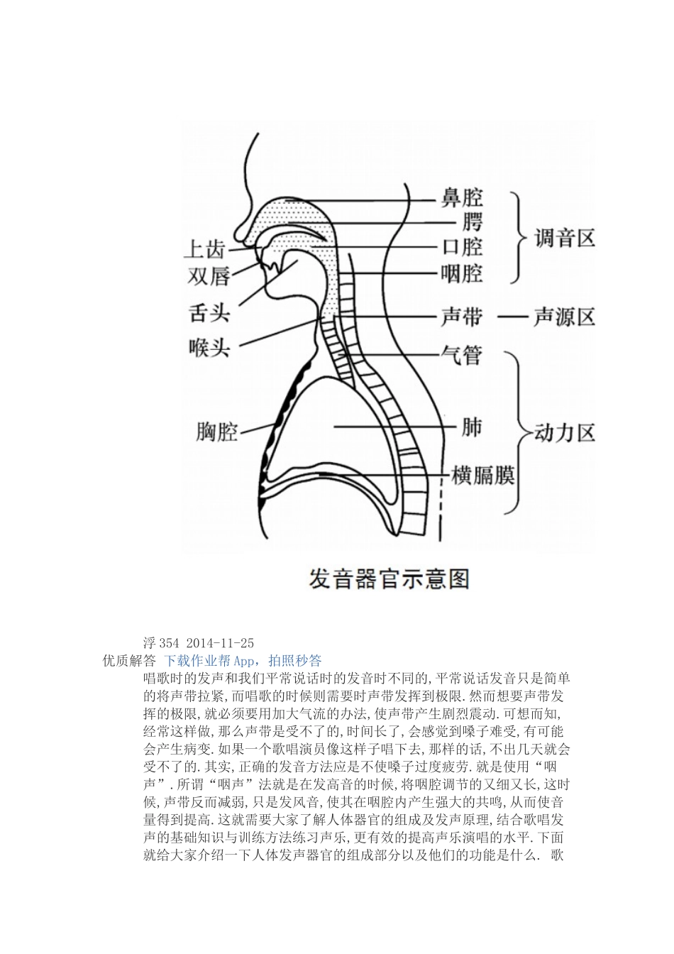 人体的发音器官是如何发声的_第2页