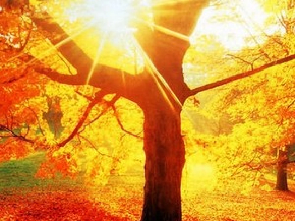 教科版香山红叶课件_第3页