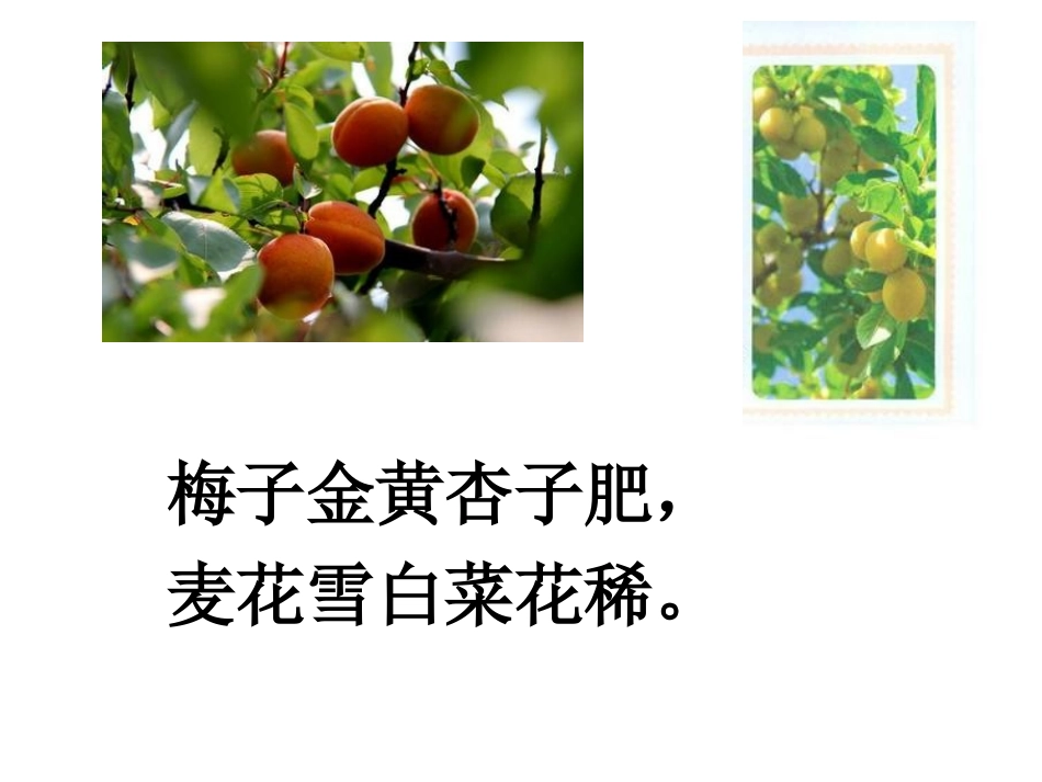 五下四时田园杂兴_第2页