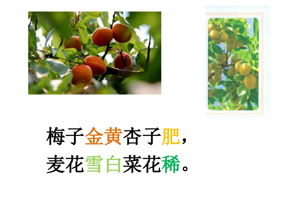 五下四时田园杂兴_第3页