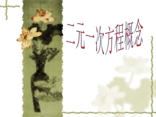 二元一次方程组解法代入加减消元法