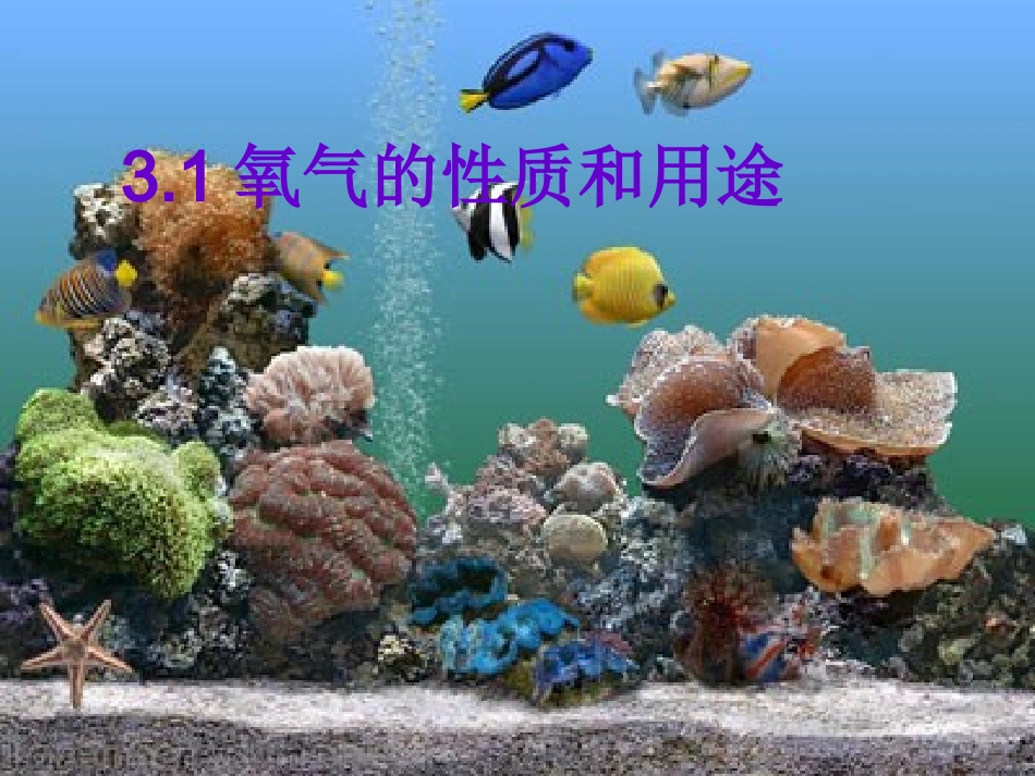 氧气的性质和用途 (2)_第1页
