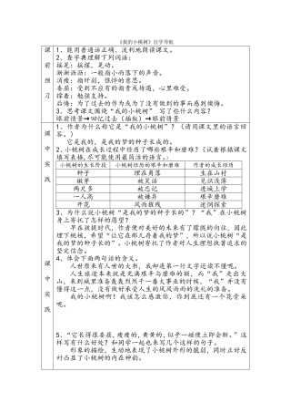 我的小桃树1