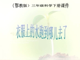 衣服上的水跑到哪儿去了