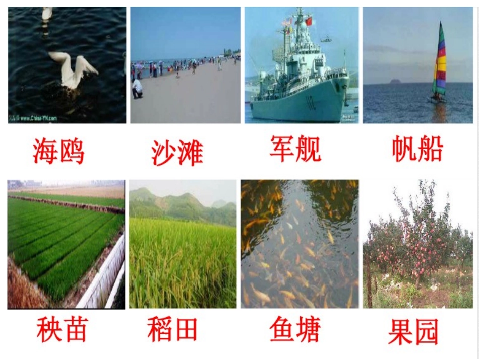 小学一年级下册识字6_第2页