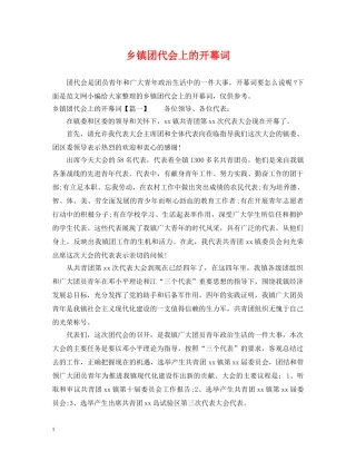 乡镇团代会上的开幕词