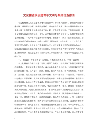 文化稽查队创建青年文明号集体自查报告 
