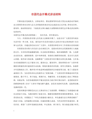 市团代会开幕式讲话材料 