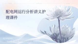 配电网运行分析讲义护理课件