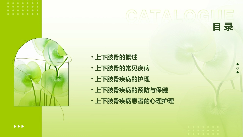 上下肢骨大纲护理课件_第2页