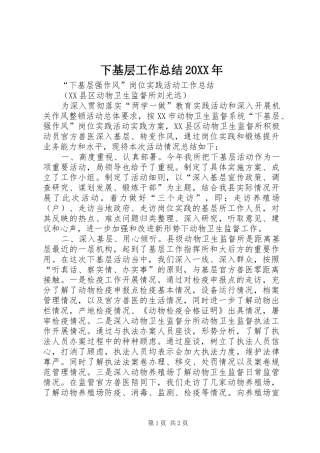 下基层工作总结20XX年