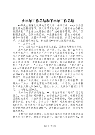 乡半年工作总结和下半年工作思路 