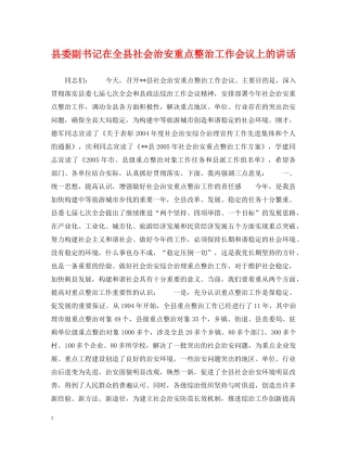 县委副书记在全县社会治安重点整治工作会议上的讲话 