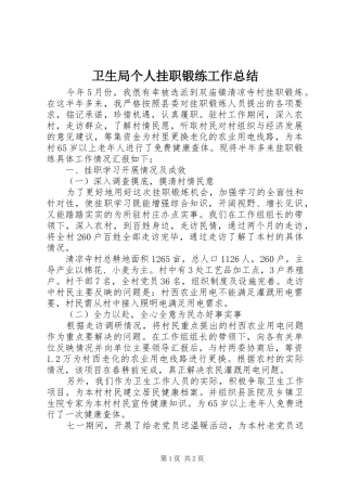 卫生局个人挂职锻练工作总结 