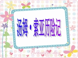 汤姆·索亚历险记