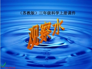 （苏教版）三年级科学上册课件观察水1