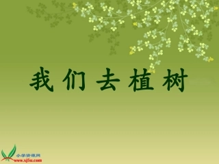 我们去植树课件