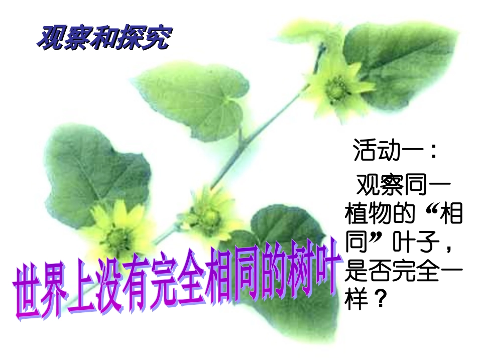 人的生命的独特性_第2页