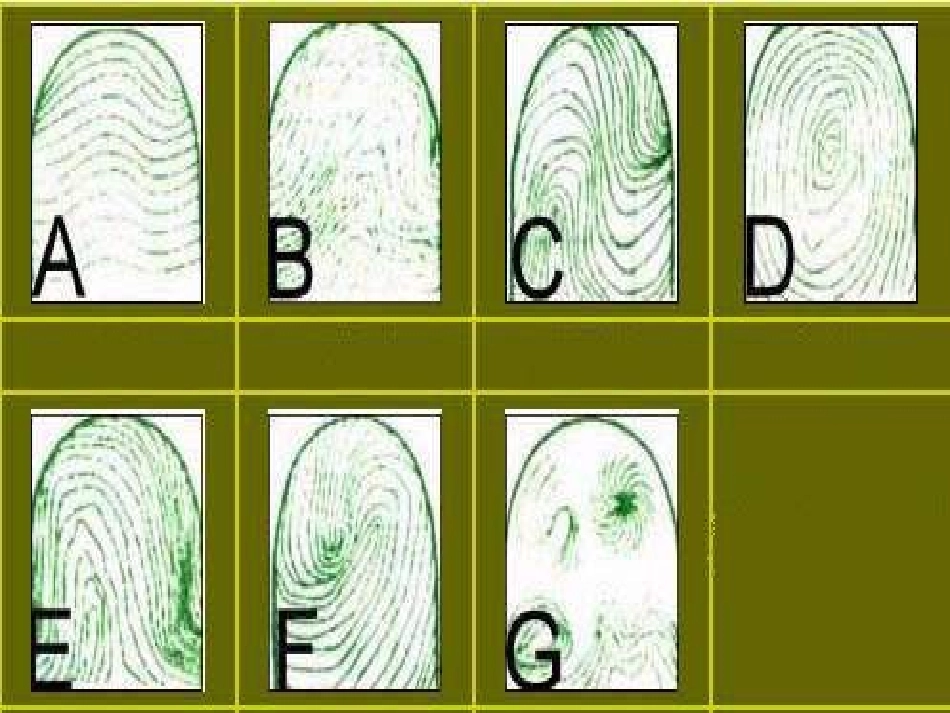 人的生命的独特性_第3页