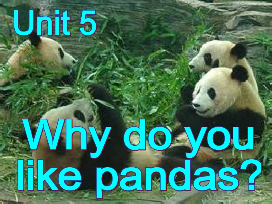 单元赛课课件_第2页