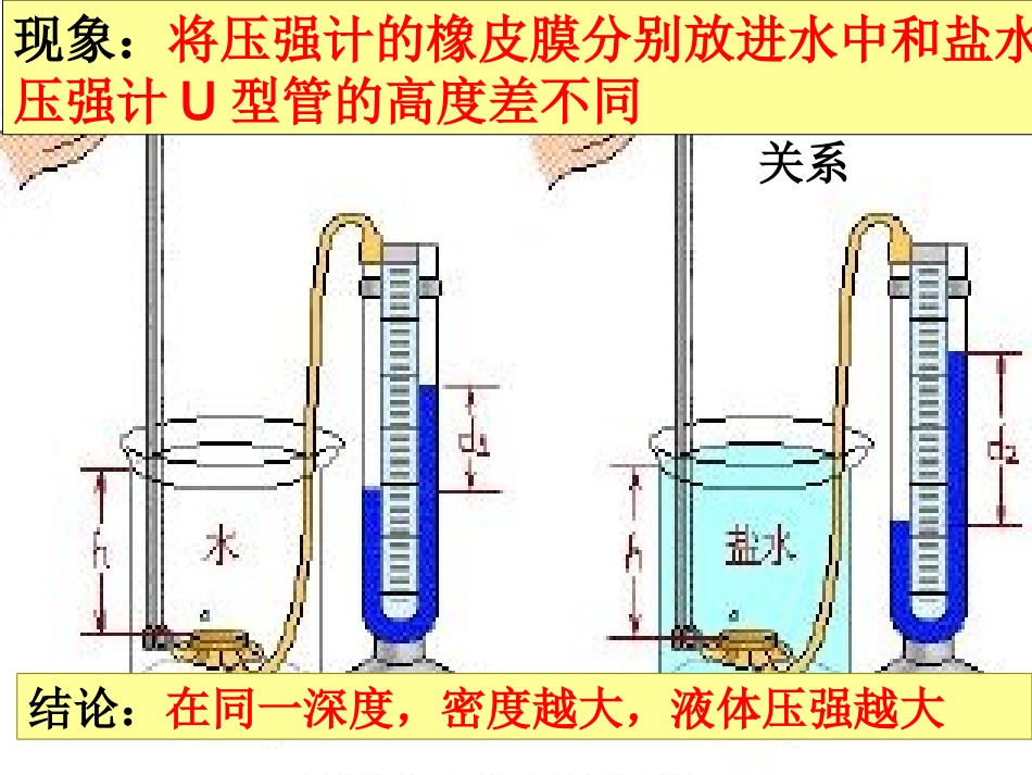 液体压强专项训练_第2页