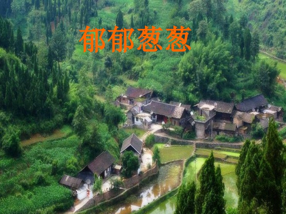 人教新课标三年级语文下册《一个小村庄的故事3》PPT课件_第3页