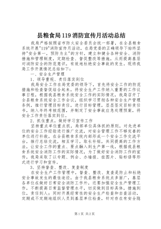 县粮食局119消防宣传月活动总结 