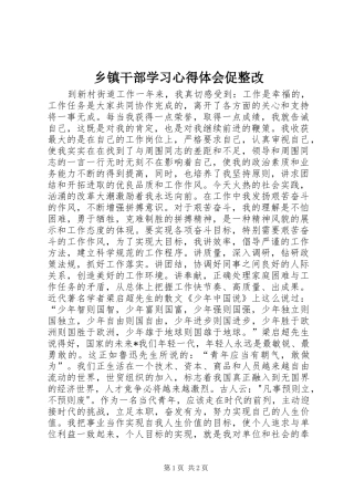 乡镇干部学习体会心得促整改