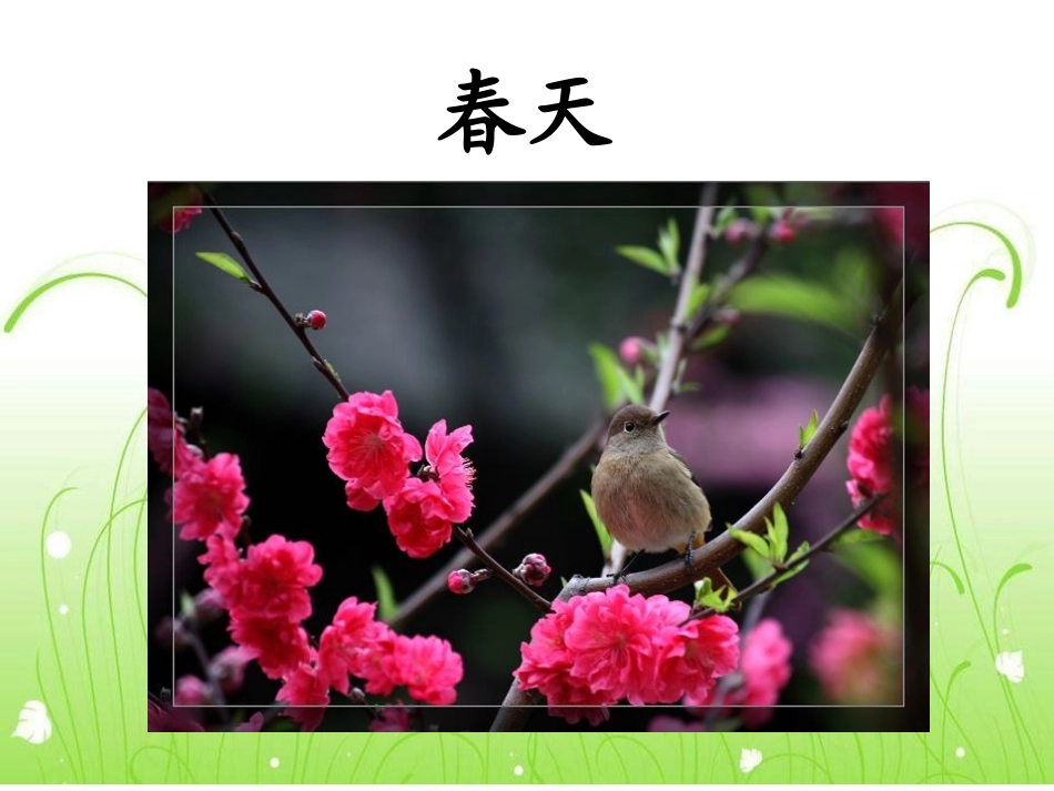 《春晓》教学课件_第2页