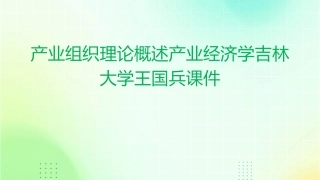 产业组织理论概述产业经济学吉林大学王国兵课件1