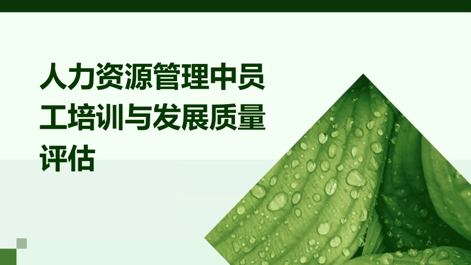 人力资源管理中员工培训与发展质量评估_第1页