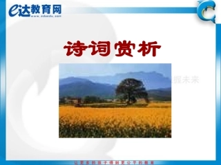 初一语文-诗词赏析