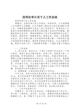 信用社审计员个人工作总结 