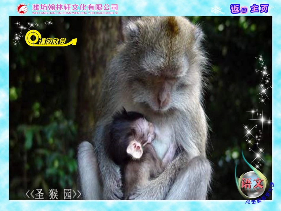 我的母亲课件_第2页