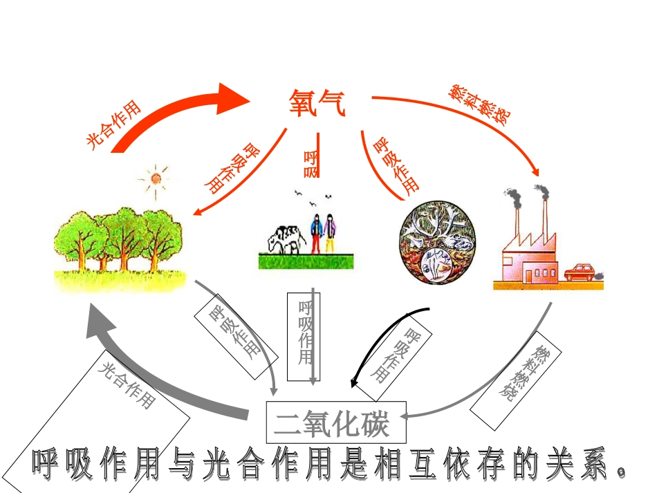 爱护植被绿化祖国课件_第1页
