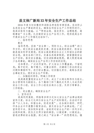 县文体广新局XX年安全生产工作总结 