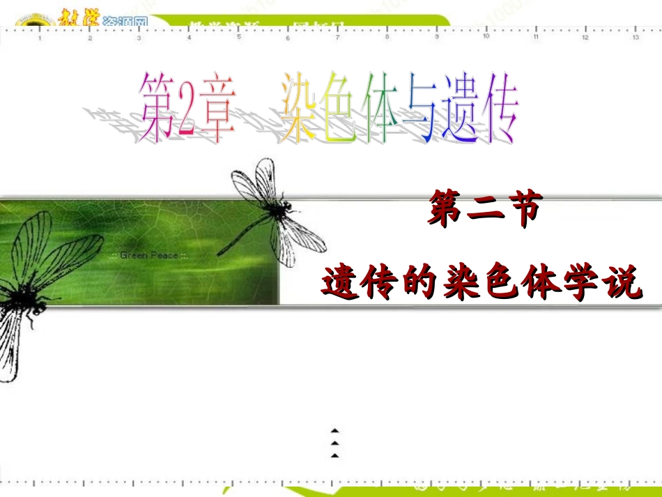 生物：22《遗传的染色体学说》姚益娟_第1页