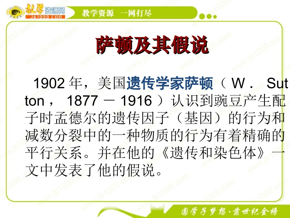 生物：22《遗传的染色体学说》姚益娟_第2页