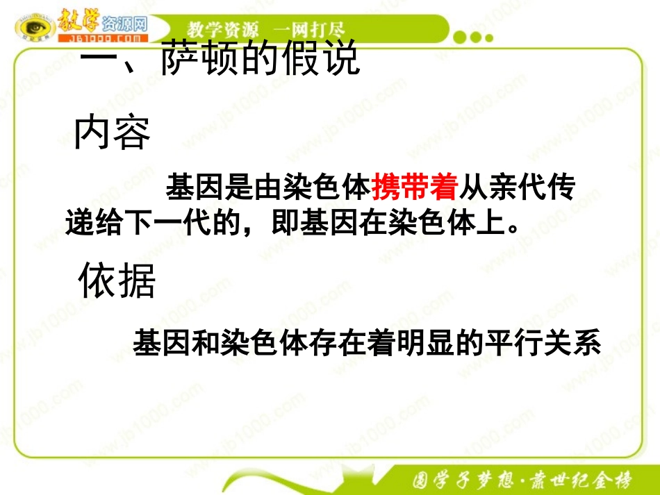 生物：22《遗传的染色体学说》姚益娟_第3页