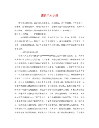 团员个人小结 