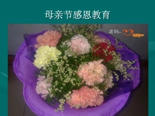 母亲节感恩教育